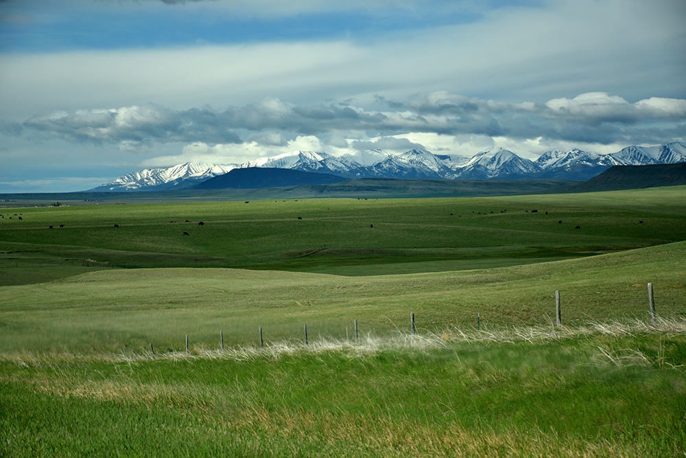 Lots of Great Montana Destinations to Explore. 
Make a Reservation for Next Year!
campfirelodgewestyellowstone.com
:
#madisonriver #montana #westyellowstone #cabinrental #flyfishing #gallatinriver #jimsflyco #onthefly #whitingfarms #hiking #yellowstonenationalpark  #campfirelodge