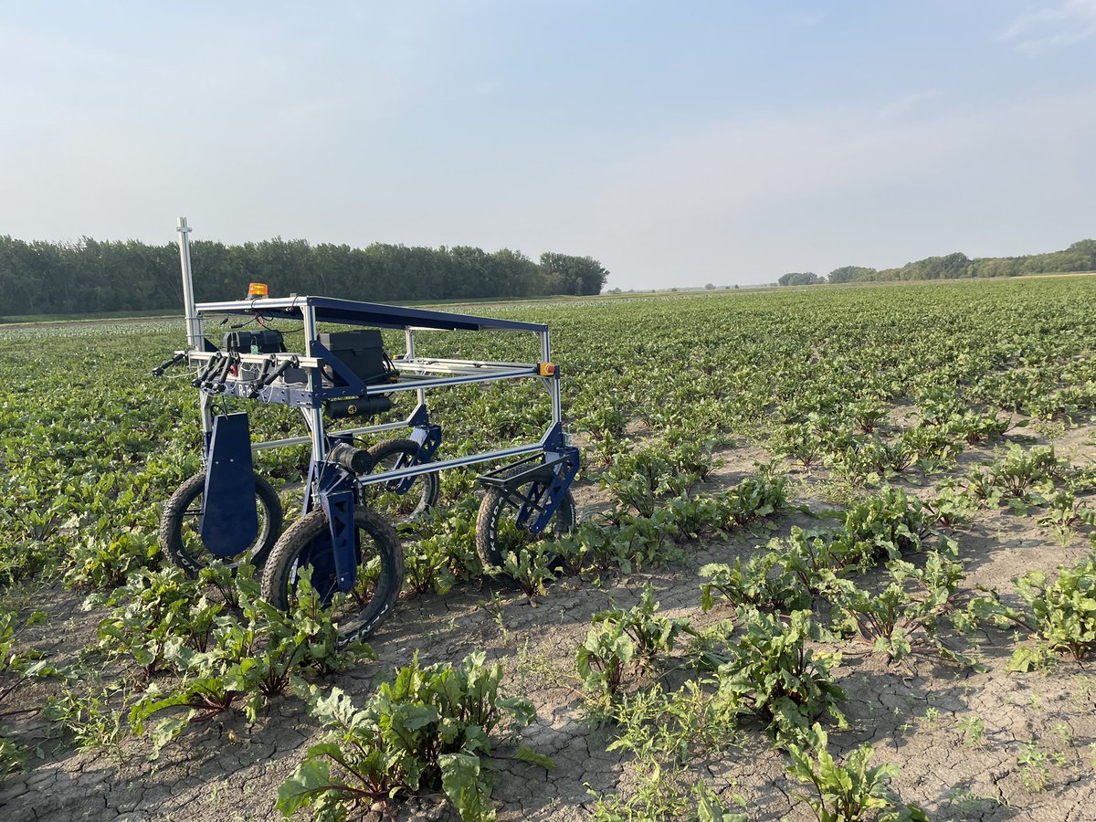 Wrapping up successful in-season field testing of the V1 rover. It has scouted soybeans, wheat, canola, potatoes, edible beans, corn, carrots, cauliflower and beets (just to name a few). #AgTwitter #AgTech #UWinnipeg #Rover