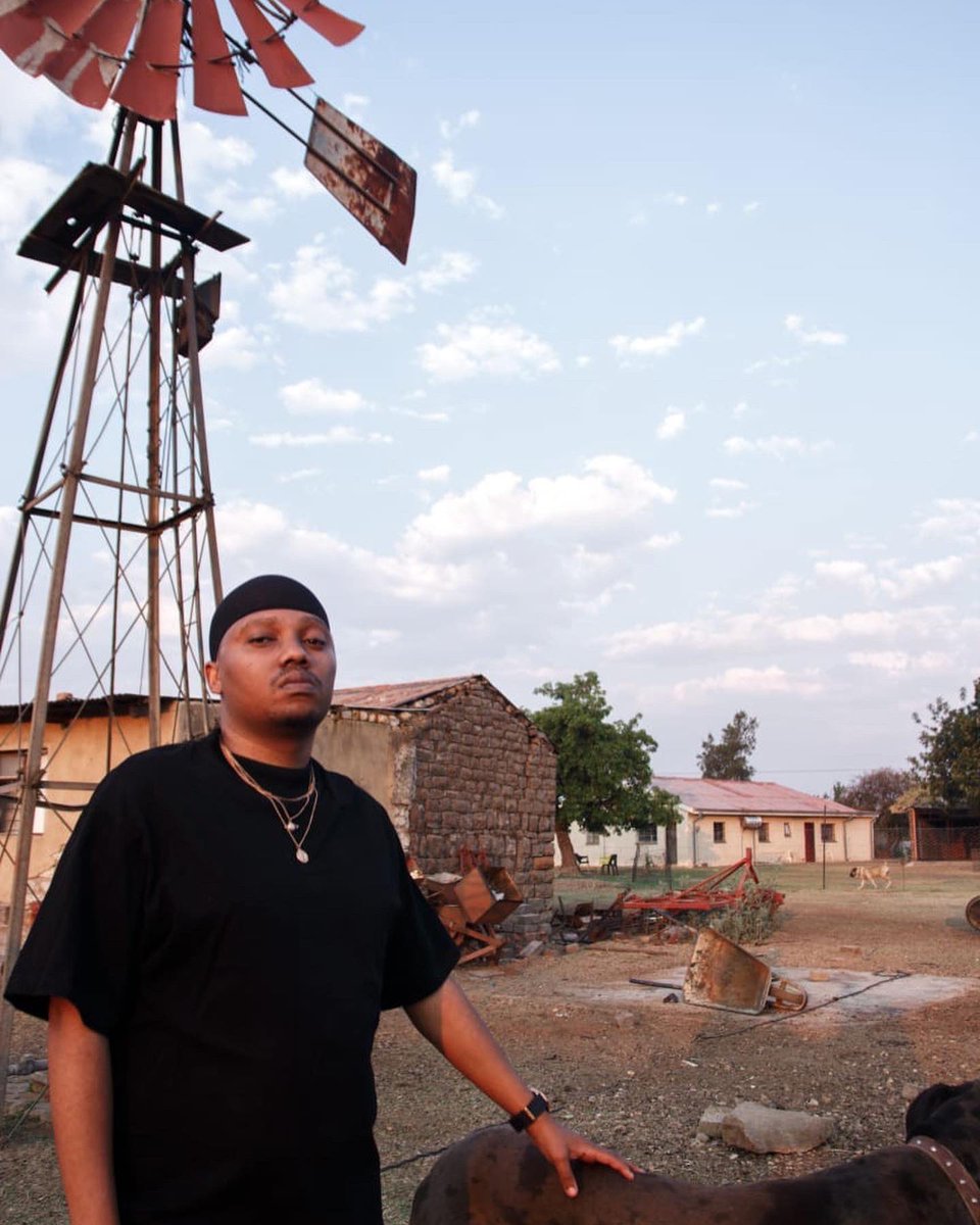 Abuti Soft Landing tweet media