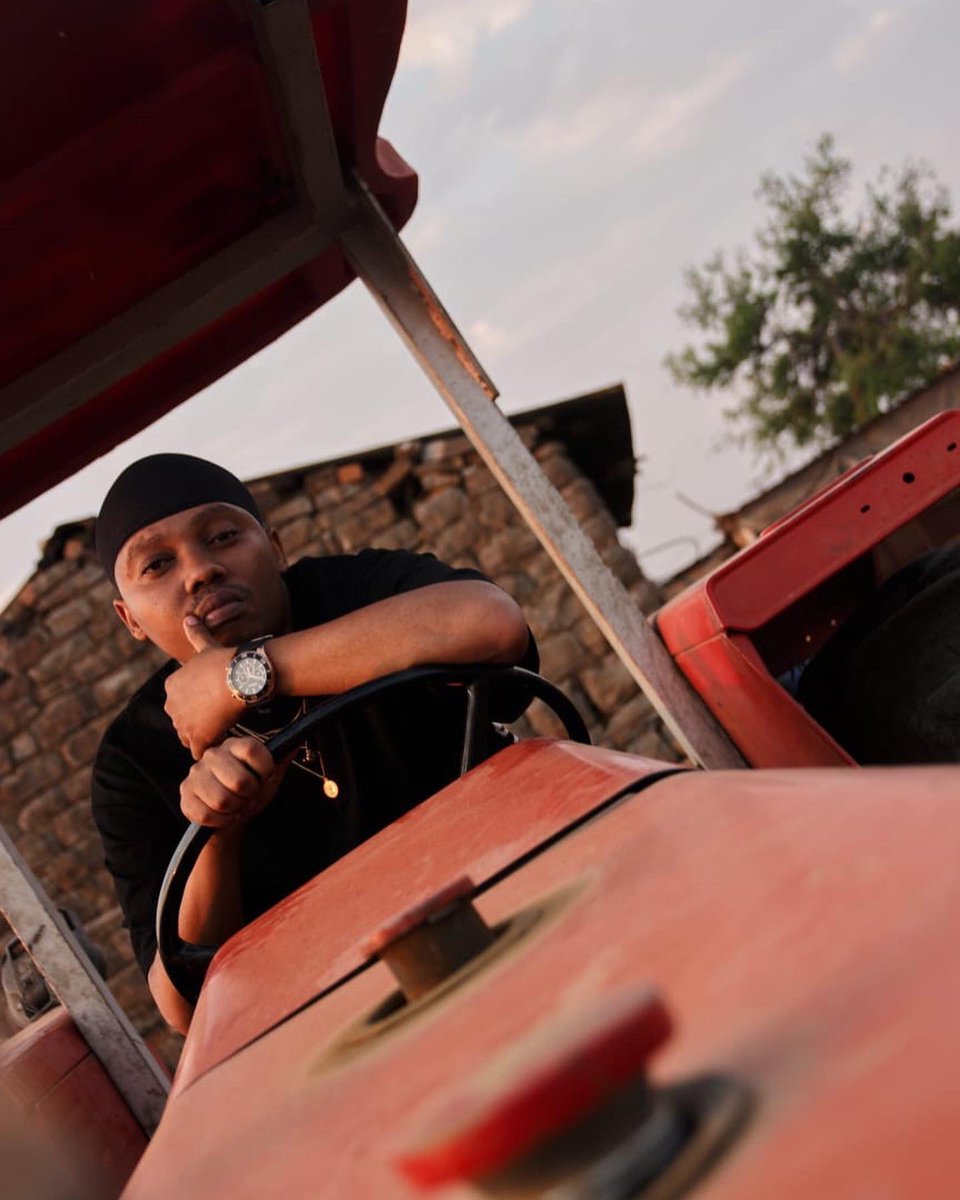 Abuti Soft Landing tweet media