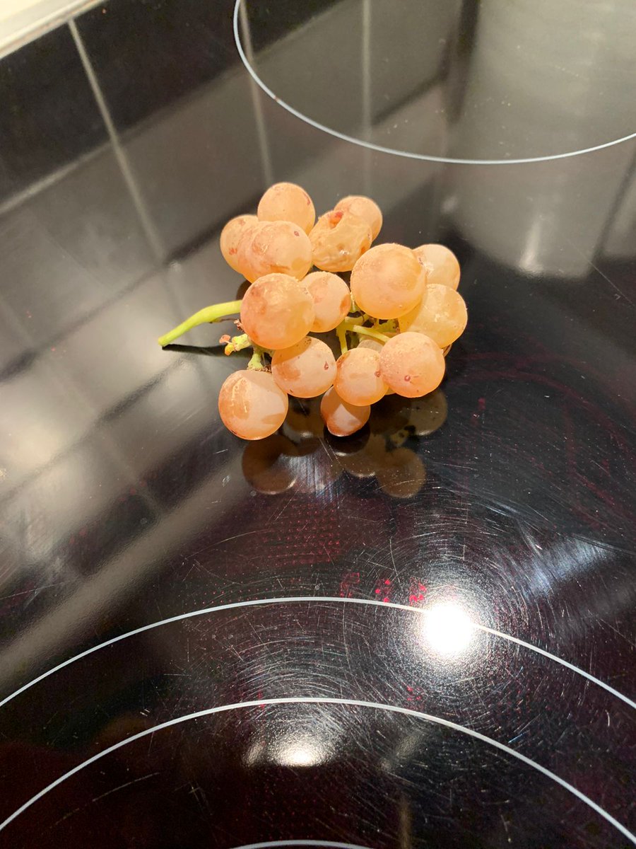 asperanski's tweet photo. My 2022 #Assyrtiko harvest.. But it's a start..
#aspiration #vineyard #winesofgreece #paros #microvineyard https://t.co/JLZ0gV7Qbq