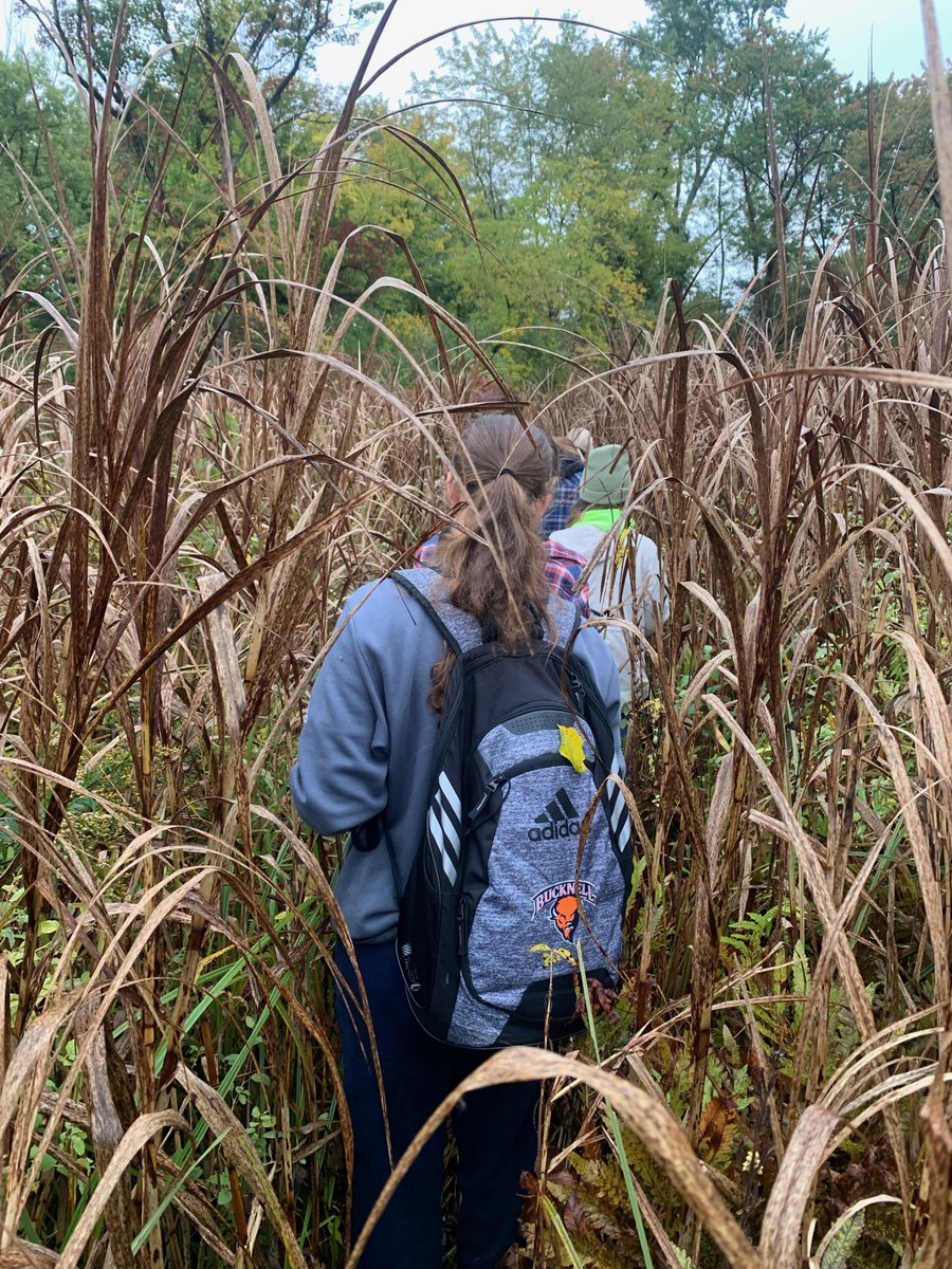 Val LaMore tweet media