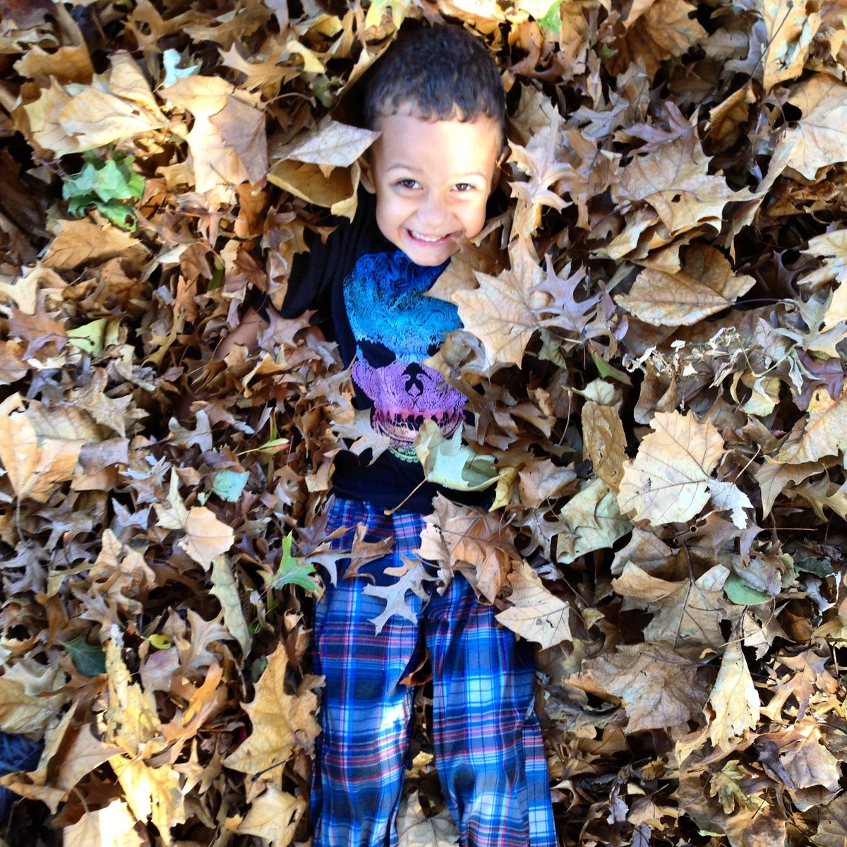 BeASmartAsh's tweet photo. Branch out this fall, grab your scarf & snap a fall pic! We’re running a #CompostingColors photo contest now through Nov. 11. It's easy to enter. Snap & post a fall pic with #CompostingColors to be entered to win a @AceHardwareCO gift card. https://t.co/T1SERUH8Dp https://t.co/YOV7gkOeFV