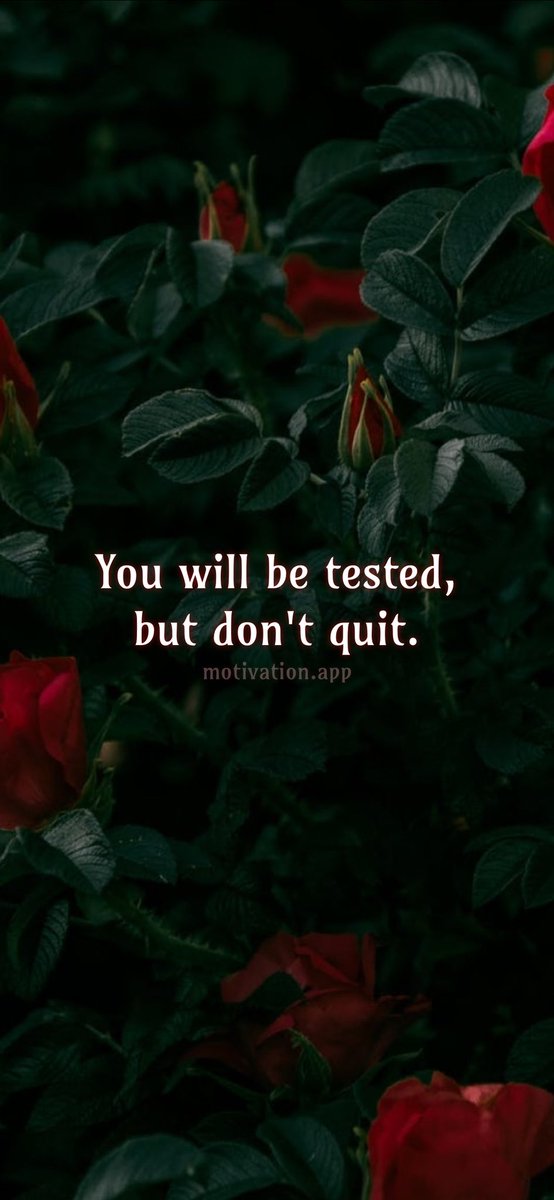 EmmaJFrye6's tweet photo. #success #BOSS #life https://t.co/XNZ8c0k3uC