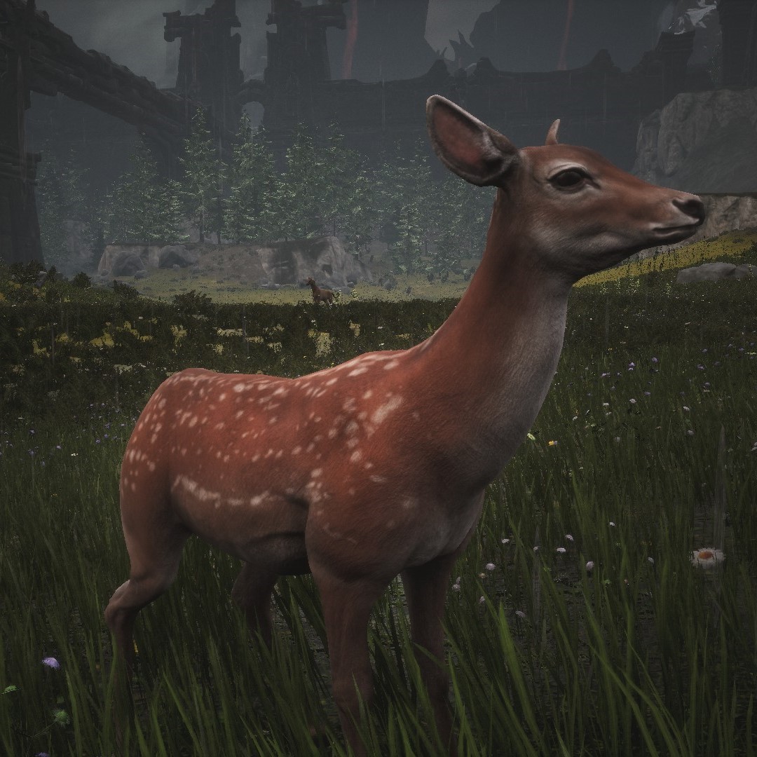 Conan Exiles tweet media