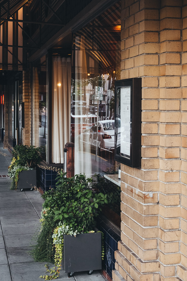 Alpha Omega Collective tweet media