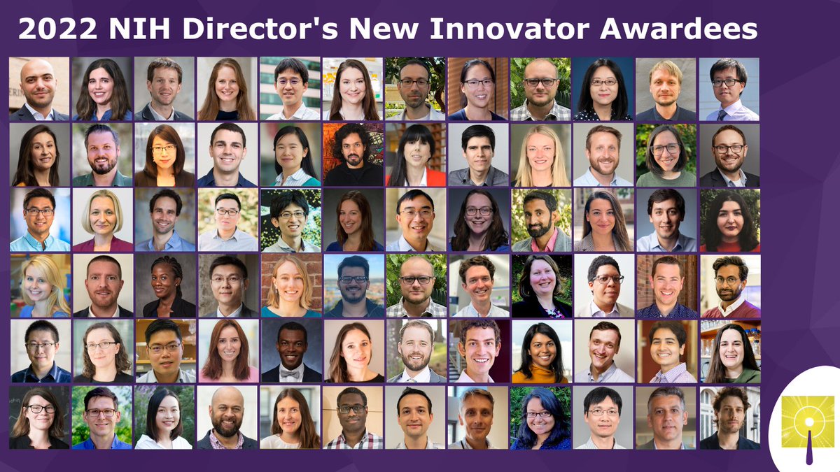 Early-stage investigators proposed innovative high-impact research ideas for the @NIHDirector’s New Innovator Award. See the projects the awardees will pursue: bit.ly/hrhr2022nia #NIHHighRisk