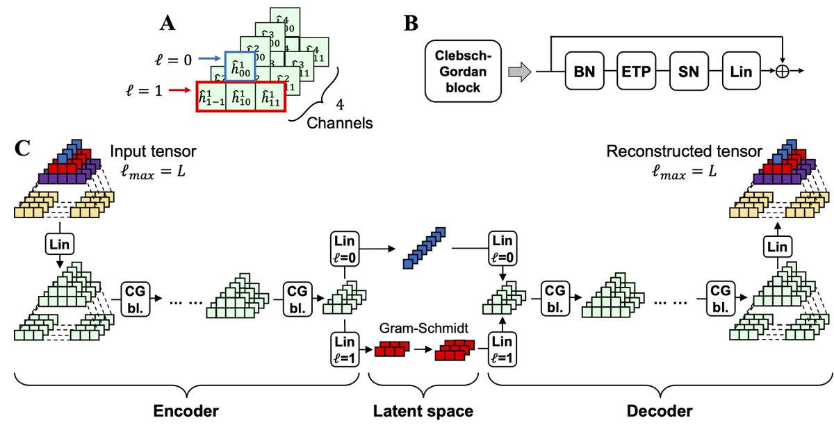 TheArmita's tweet image. Holograms+ SO(3) equivariance+ latent representations + ML= Holographic VAE (H-VAE)
excited to share our work (led by @GMarcoVisani) on representation learning while respecting rotational symmetry
many applications to dream about
doi.org/10.1101/2022.0…
#GeometricDeepLearning