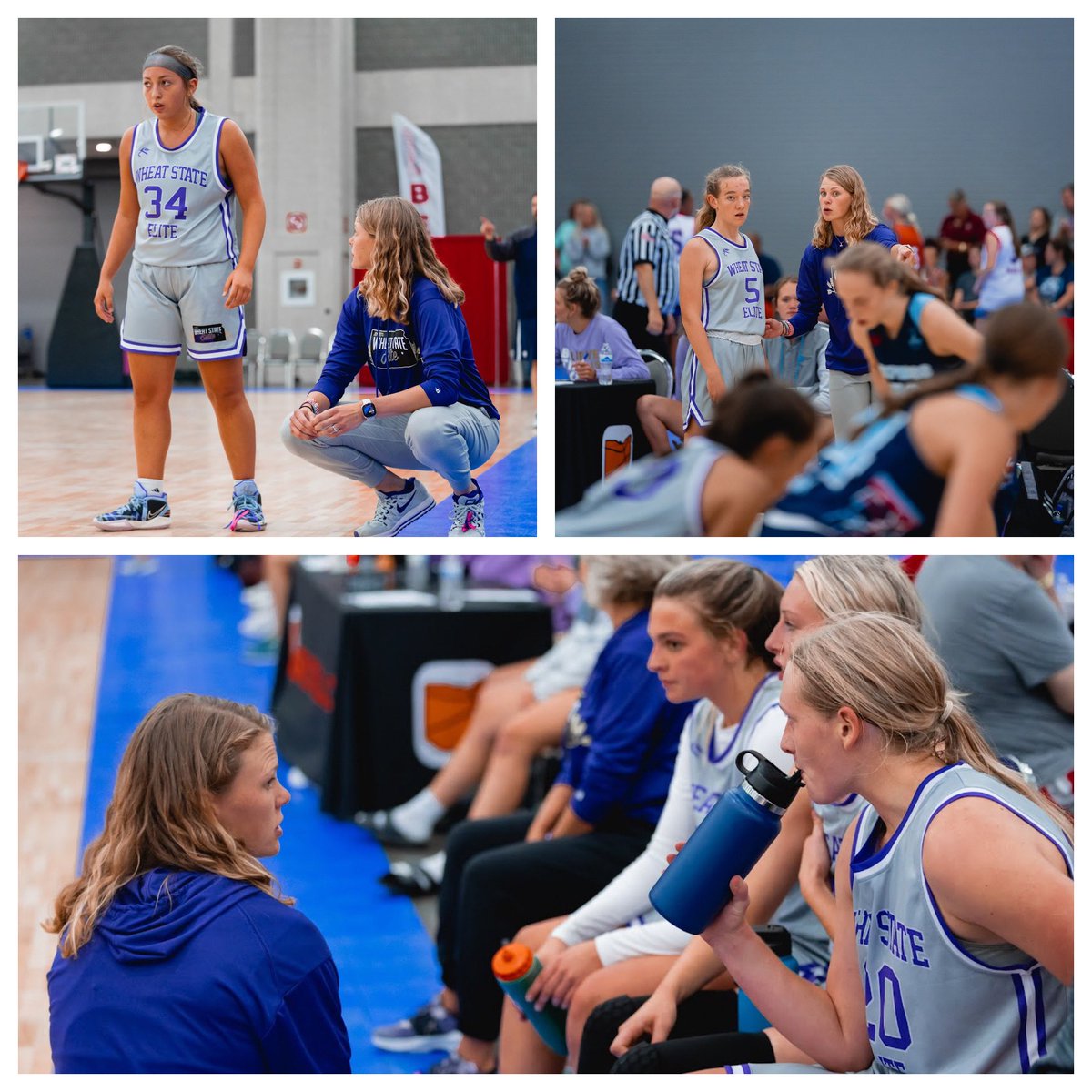 Dylan Evans tweet media