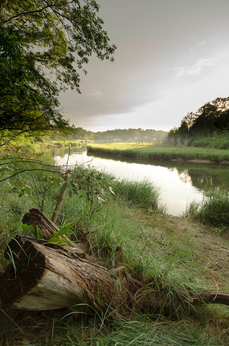 jsfishel's tweet photo. This was taken in #Orleans on the #Namequoit river after a shower in August. I love the atmosphere - truly the calm 'after' the storm. https://t.co/wu3NKuA8Z8