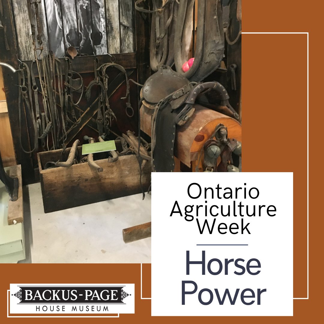 BackusPageHouse's tweet photo. #TipTuesday
It's World Animal Day and #OnAgWeek; what better time to talk about the hardworking horse?
Horses were transportation, companions, and muscle in the fields. Each task required different tack, and you had to keep it in top shape.
#BackusPageHouse #History #Museum #Farm https://t.co/rKtn4E38Fr