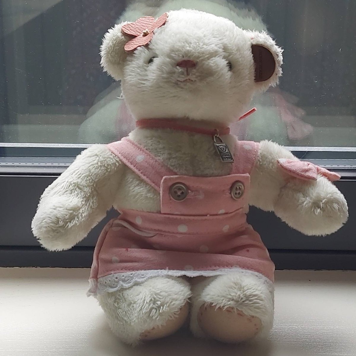 DLR_Libraries's tweet image. Lost - I was left behind in Cabinteely Library. Please come and collect me. #CabinteelyLibrary  #CabinteelyLife