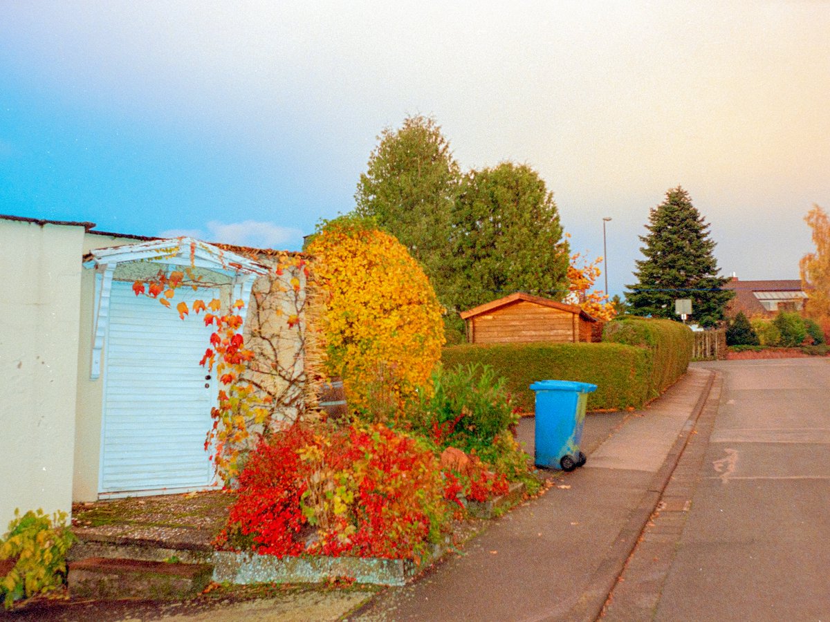 I love playing with color 🎨🎞️