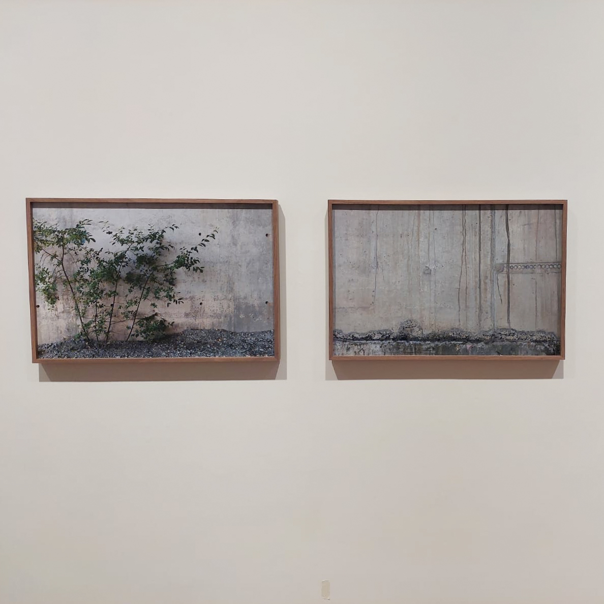 Some images from an exhibition install of new work by Dianne Whyteat at the Dlr Lexicon.

Altered Ground is a new body of work exploring landscapes undergoing extensive development within the local areas of Cherrywood, Lehaunstown, Carrickmines and Sandyford.