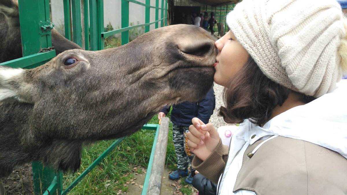 WitchWithMemory's tweet photo. Я удаляю твиттер, потому что новости в нём уже развили у меня тахикардию. Спасибо за этот, пусть и не долгий путь. Да прибудут с вами большие поля спокойных сладкопахнущих цветов и самые прекрасные закаты🌻💫. https://t.co/98ds753sqi