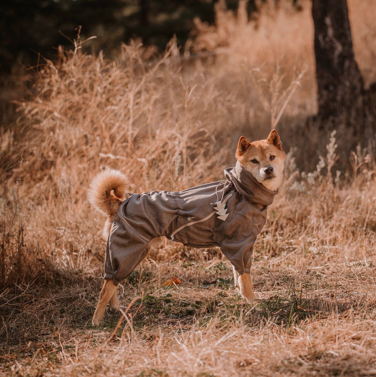 It's sweater weather!

Instagram.com/cricketintheth…

#hurttaamerica #midlayeroverall