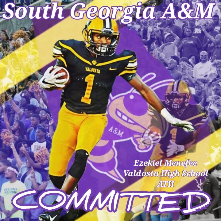<a href="/SGAM_HornetFB/">South Georgia A&M Football</a>