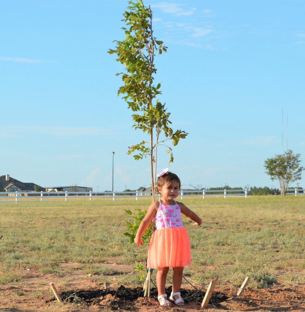 NuezSurena's tweet photo. De Nuez Sureña 2021—"Para la Nueva Generación"— Michaela María Ojeda está parada junto a uno de los arboles al huerto de su familia en Midland, Texas, Estados Unidos. 📷SergioRivero Ojeda #nueces #pecanas #huertosdenueces https://t.co/7SRZEw5yWW