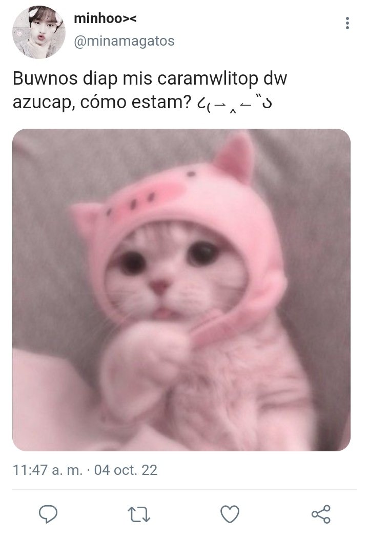 hyunhodick's tweet photo. au hyunho | mw gustap ><

Donde mnhó perdió un reto con sus amigos y ahora tiene que hablar como baby talker por una semana, pero entra en crisis porque hyünjín, el chico que le gusta encuentra su cuenta https://t.co/FmUGS1l6LG