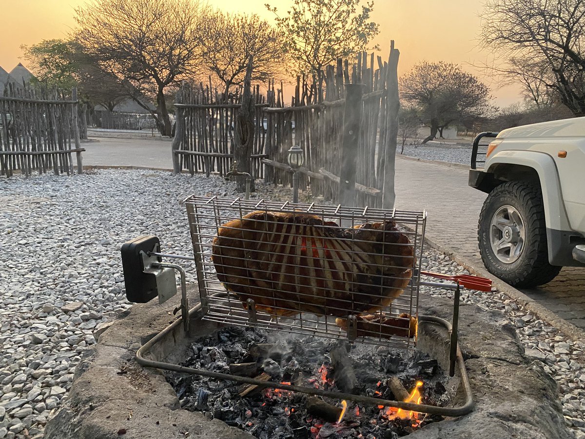 Etosha staanrib… @IfIMust89 🇳🇦