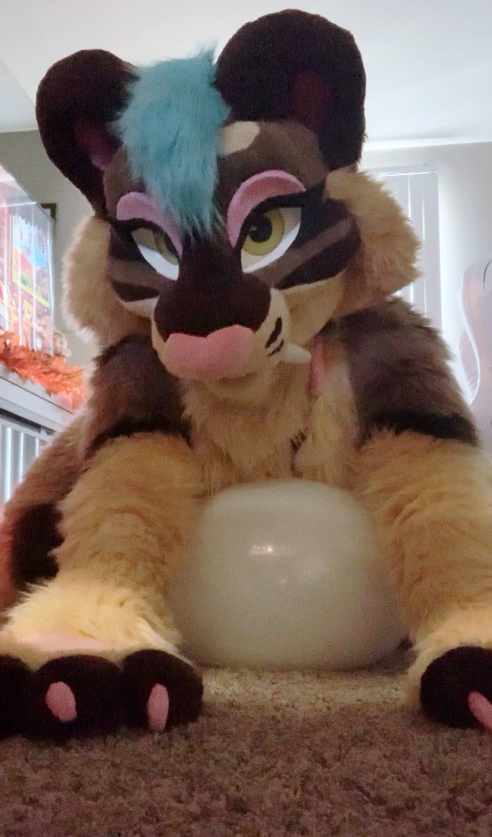 SaberHoneybee's tweet photo. One of my favorite little loons got some playtime in yesterday, gosh I love these squeaky guys! 🥺💕 #balloon #balloons #looner #nonpop #furry #fursuit #balloonkink https://t.co/VaayGAmcpS