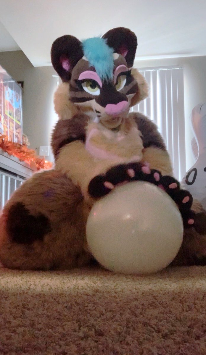 SaberHoneybee's tweet photo. One of my favorite little loons got some playtime in yesterday, gosh I love these squeaky guys! 🥺💕 #balloon #balloons #looner #nonpop #furry #fursuit #balloonkink https://t.co/VaayGAmcpS