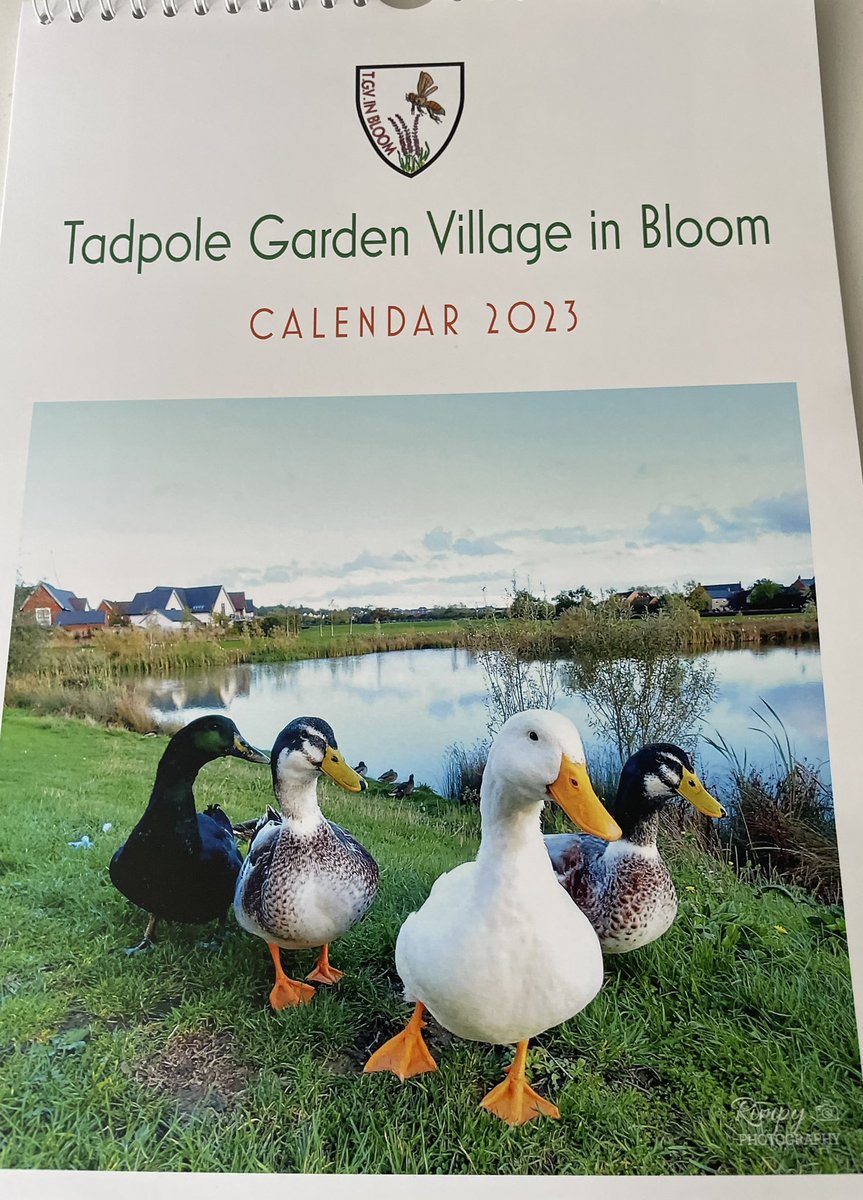 in_tgv's tweet photo. Our new village #calendar is being launched! All profits will go back in to our #community projects 💚

Huge thanks to @PreimLtd for funding the production 🙌

#swindon #wiltshire #tadpolegardenvillage @The_RHS @RHSBloom #nature https://t.co/agXA8Y3qdX