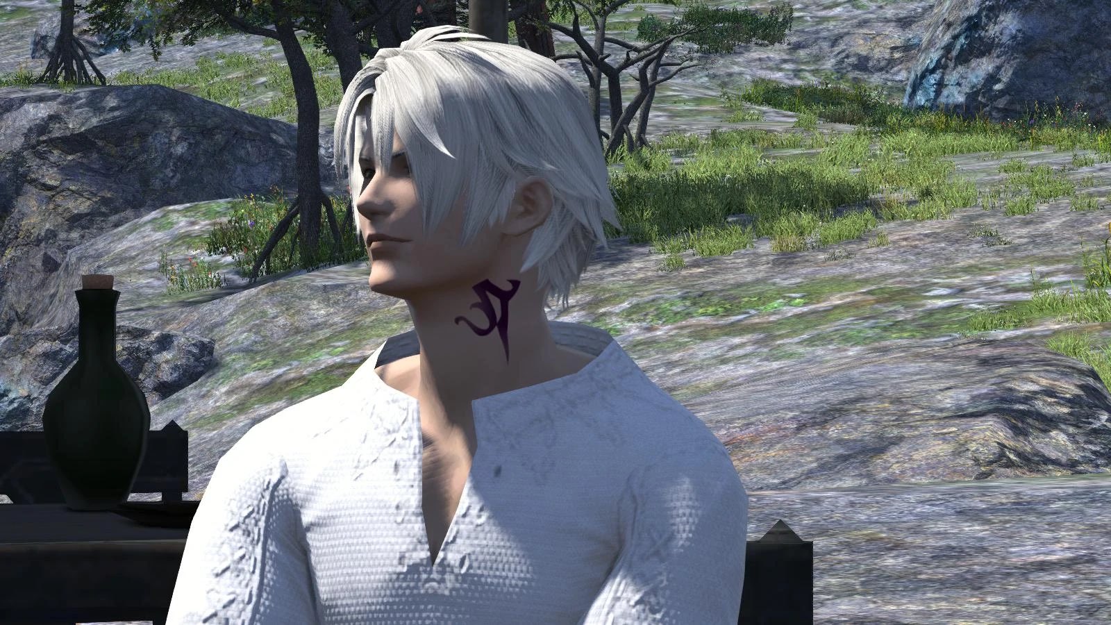 Top 15 FF14 Best Looking Characters That Are Great  GAMERS DECIDE