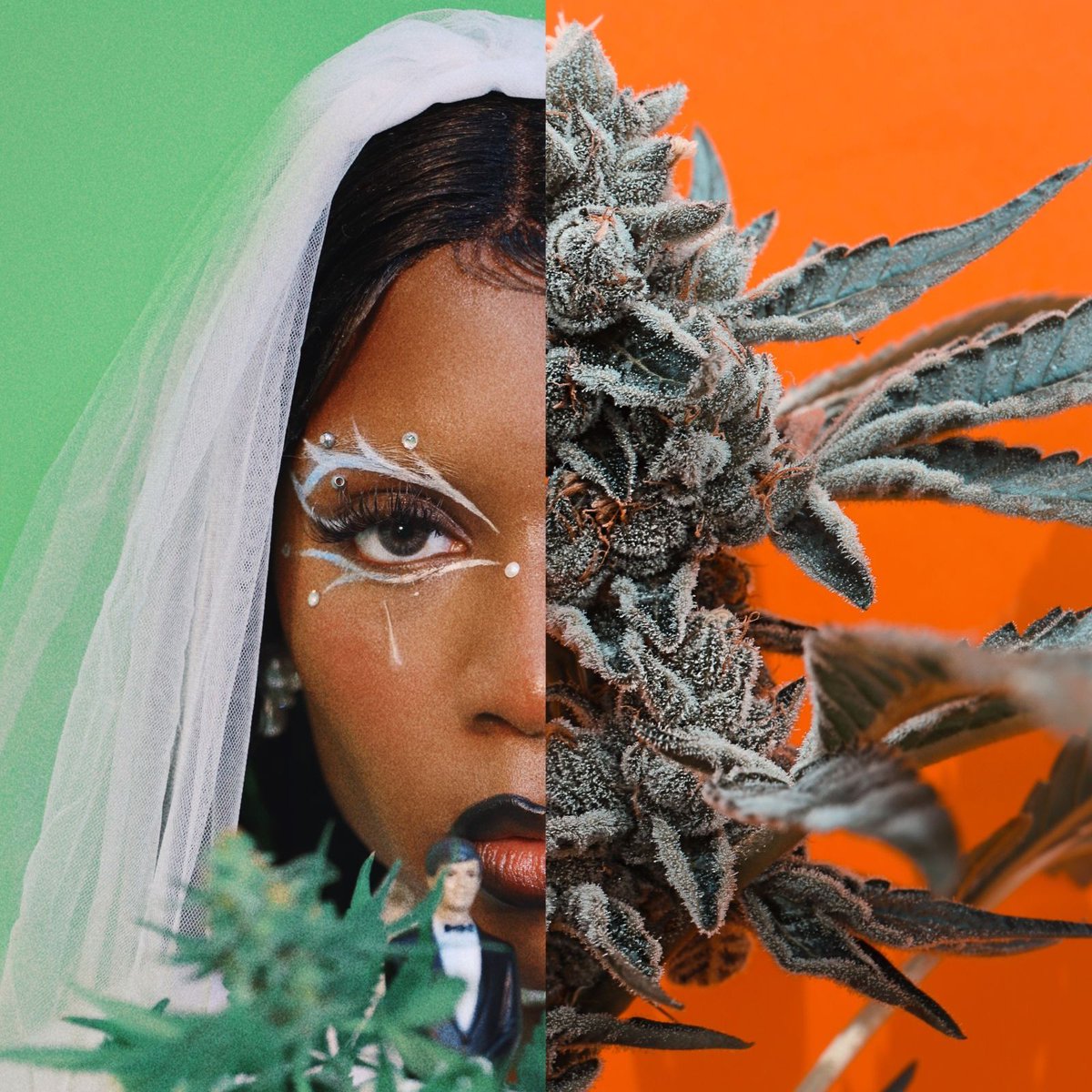 Glass House Farms tweet media