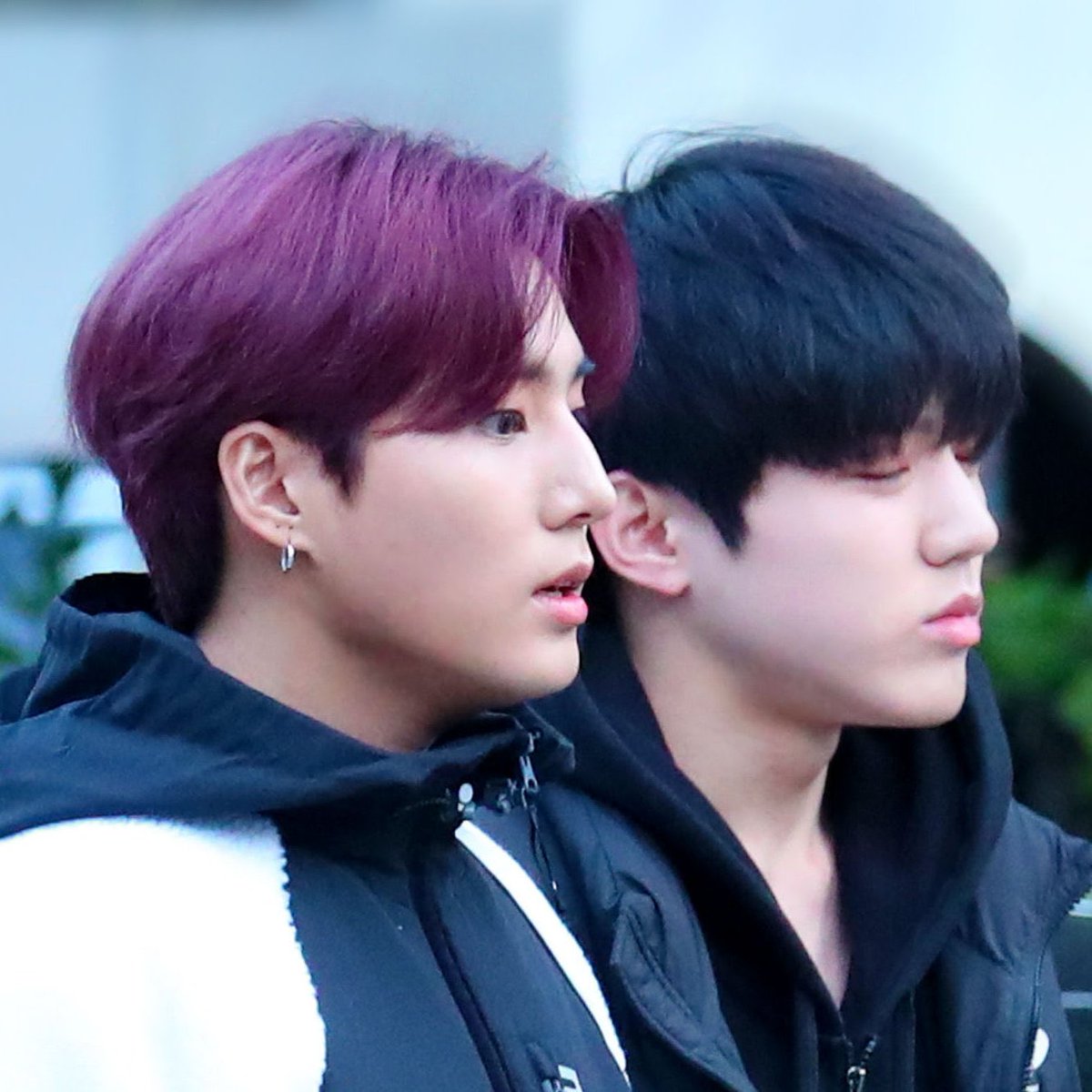 .              요즘잘자쿨냥이           통모짜핫도그