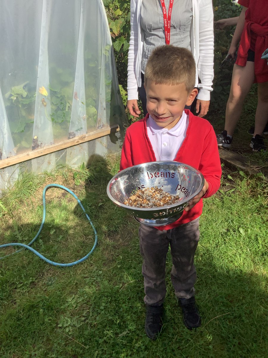 <a href="/PengamYear2/">Pengam Year 2</a> members have been very helpful too.