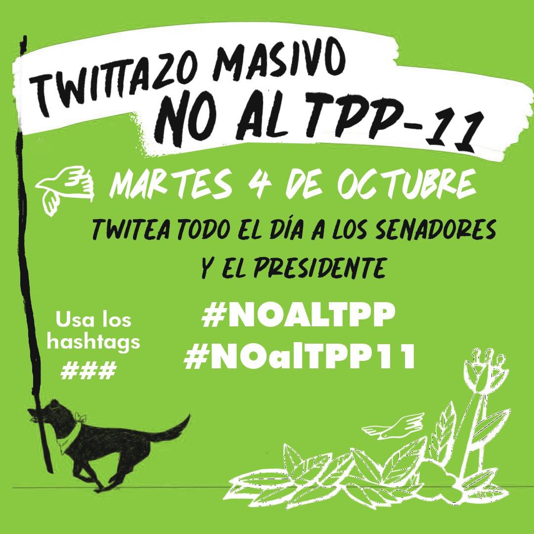 #NoAlTPP #Noaltpp11 @gabrielboric