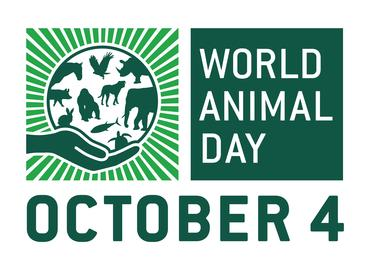 Happy #WorldAnimalDay! We will continue to raise awareness and be an advocate for #animalrights.

#algofam #freeape