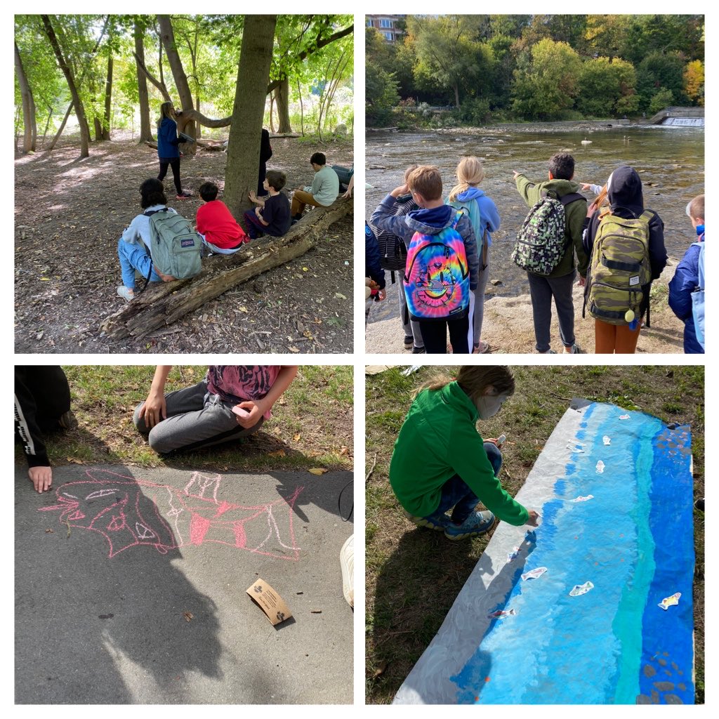 Roden-Equinox Community tweet media