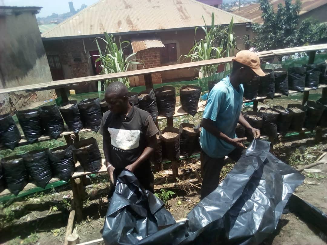 SCINE171's tweet photo. With support from @SeedPrograms  we are setting ground at Golden times primary school ahead of the school garden that will evolve the first ever agricultural club in the school. @YADNETUG https://t.co/GoWGDA1xyE