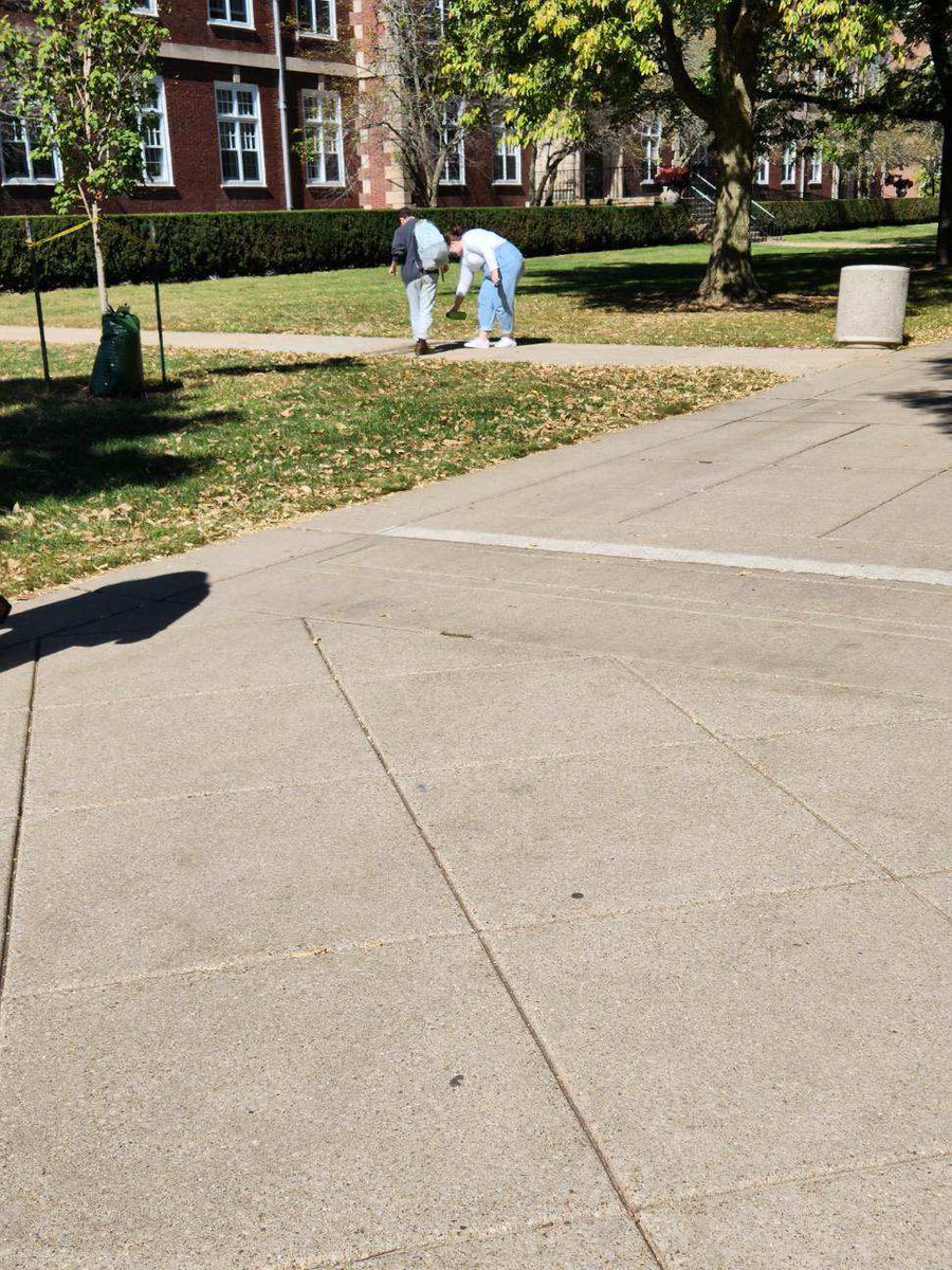 uiuc_yaf's tweet photo. Not only are flyers ripped down, chalk is now erased! Thanks for being “tolerant”! @yaf @MattWalshBlog https://t.co/NNiDOkCez5
