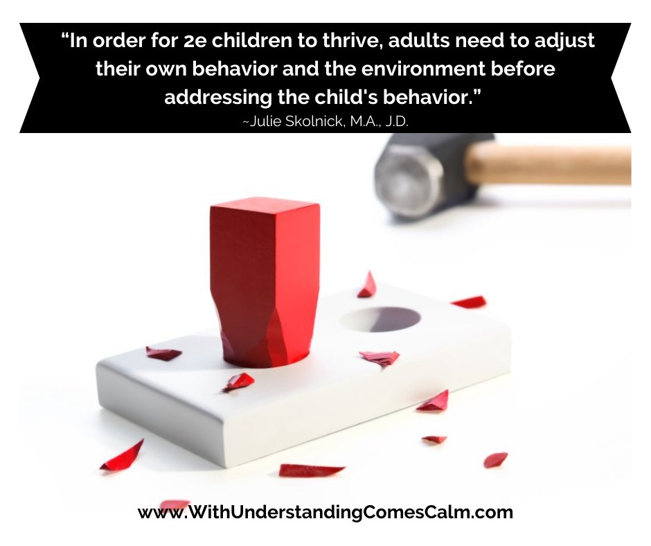 julieskolnick's tweet photo. “For 2e children to thrive, adults need to adjust their own behavior and the environment before addressing the child’s behavior.” Read more: https://t.co/3UF4XP7Hxi
#withunderstandingcomescalm #2e #twiceexceptional #strengthsbasedapproach #giftedanddistractable #letstalk2e https://t.co/CUYVrTDdbb