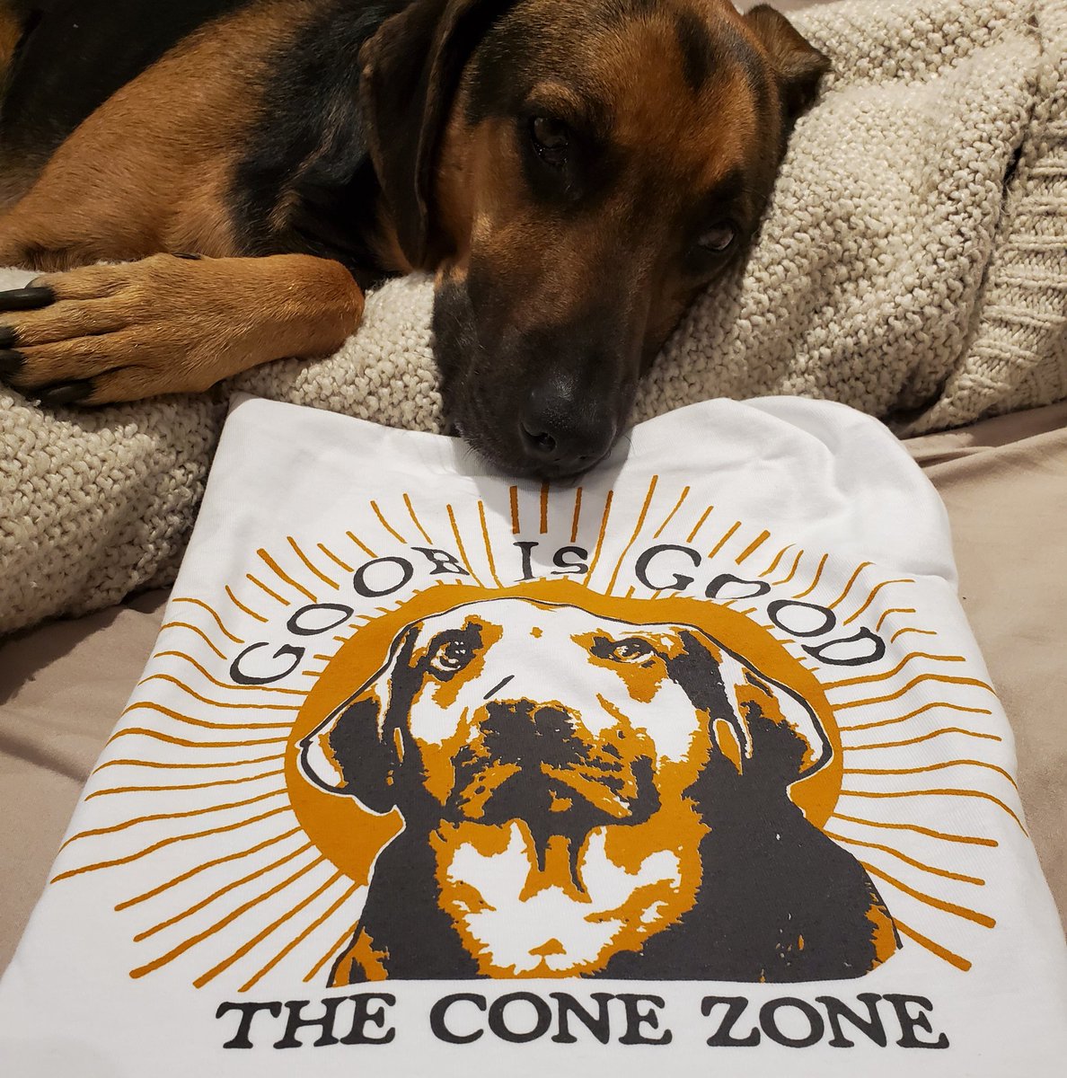 Doctor Sung tweet media