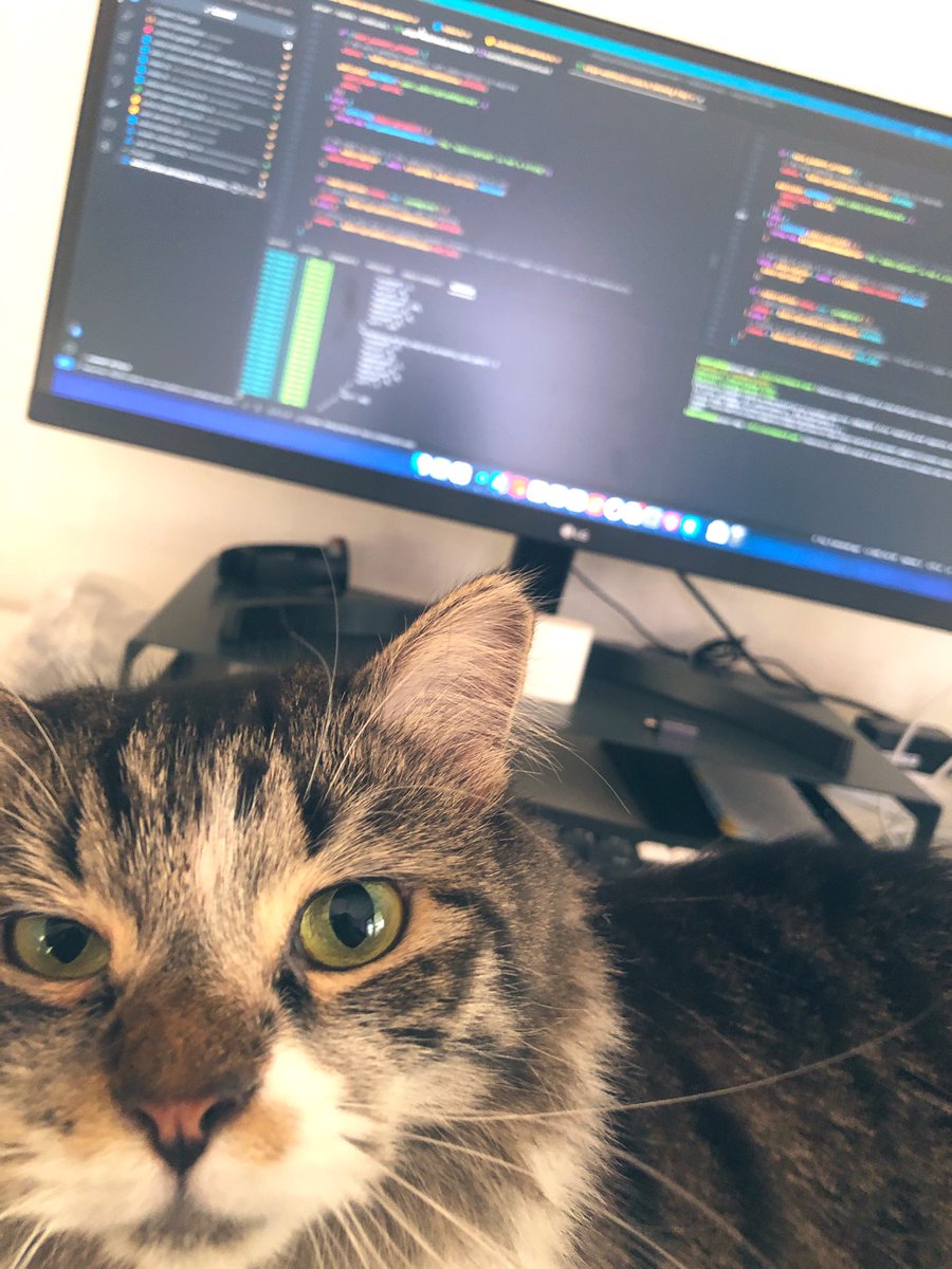 Purr programming 🙂🐈
