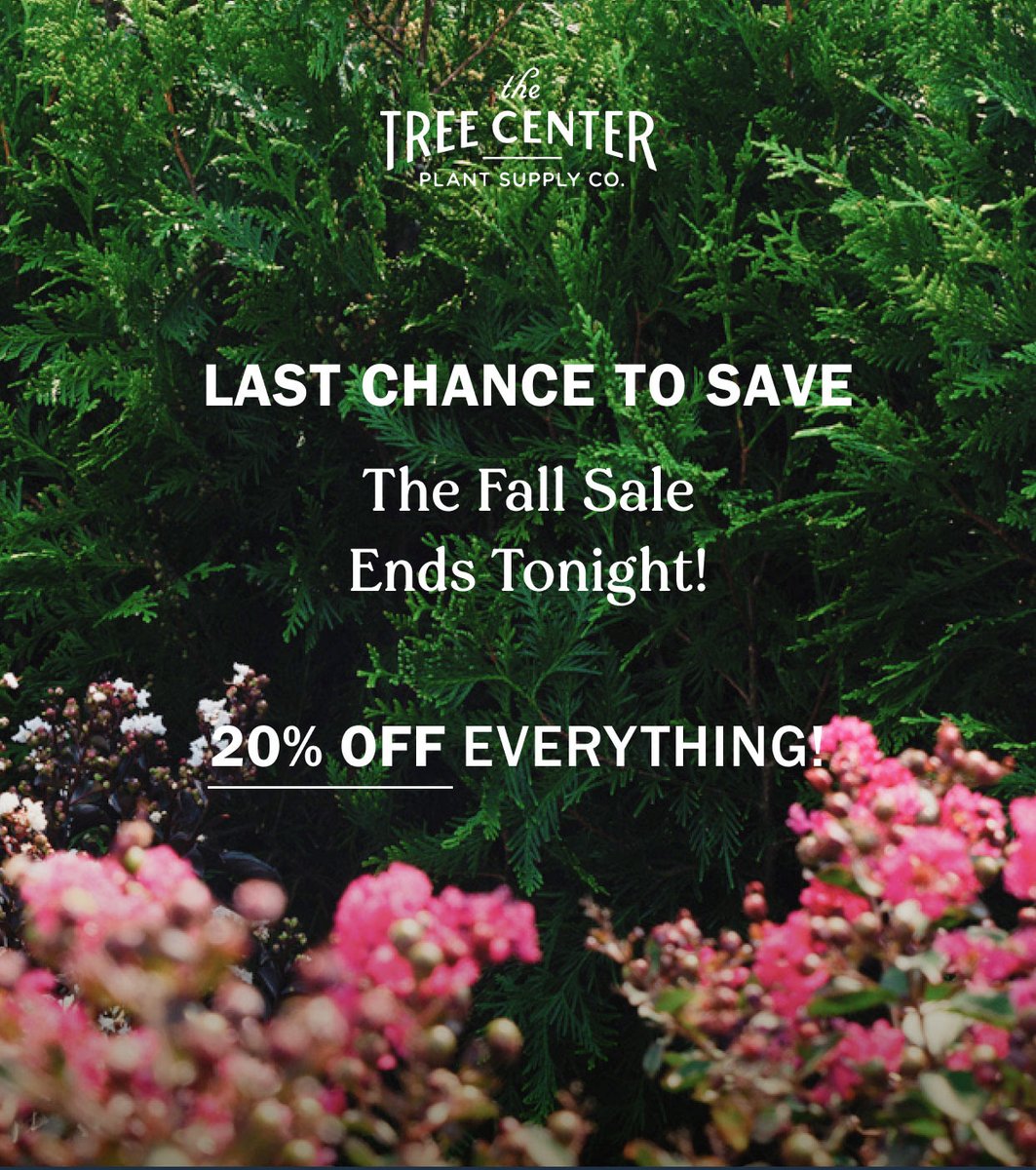 Extended 1 Final Day! Take 15% off every tree, shrub, plant, and perennial we sell during the End Of Summer Markdown Sale! Simply enter the code SUMMER15. thetreecenter.com