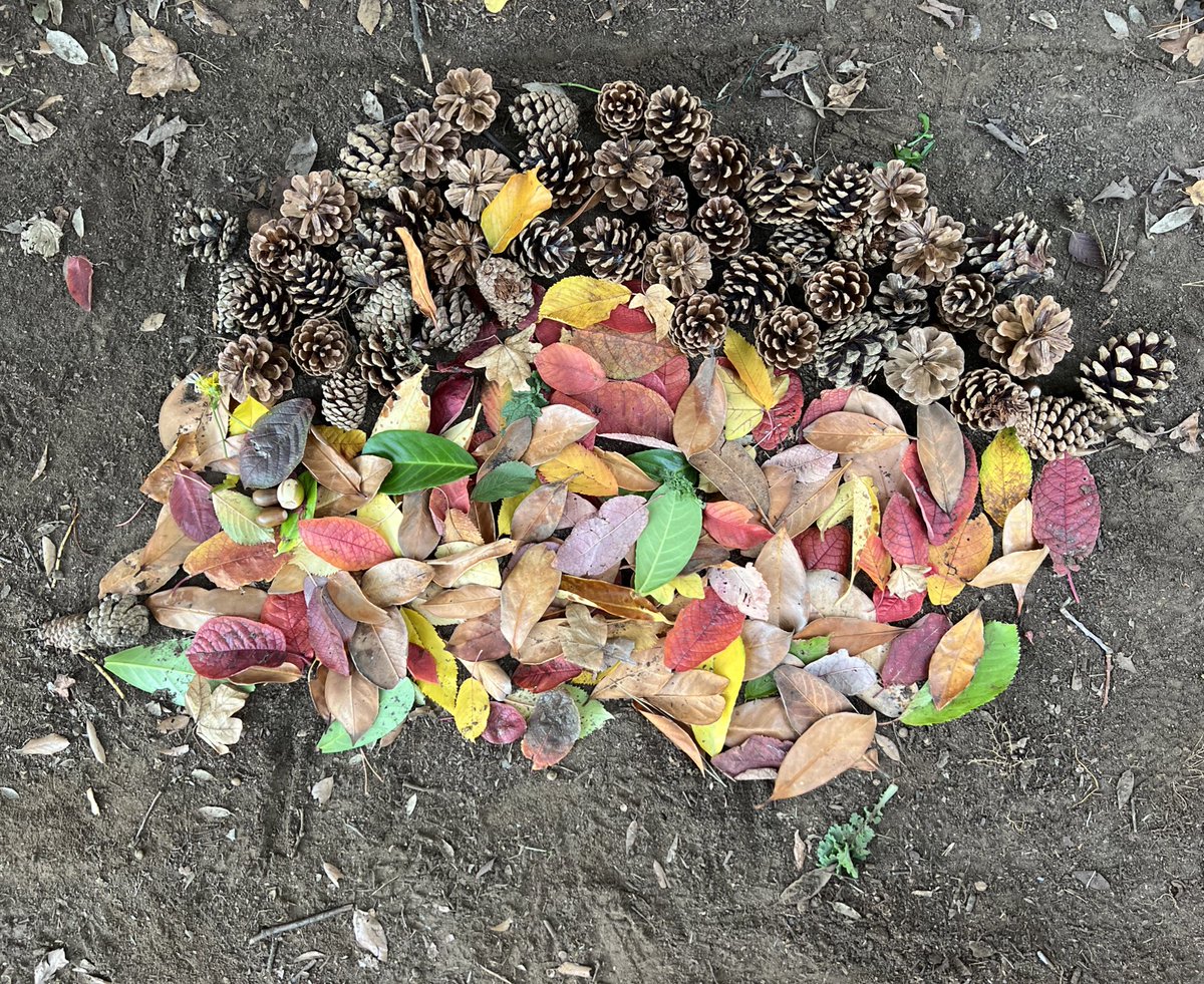 stibb_centre's tweet photo. Just some of the amazing creations from the children of 3T at @WPS_school today! 🍂 🍃 🖼 

#outdoorlearning #artintheenvironment #usingnaturalmaterials #takinglearningoutdoors #thestibbingtoncentre #schoolsresidentials https://t.co/HnAEkuevaj