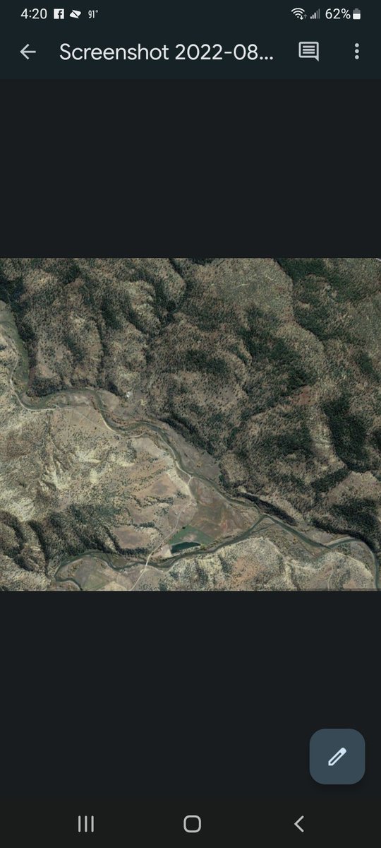 Interesting image, found on Google earth.  
Looks a human, wearing shoes.