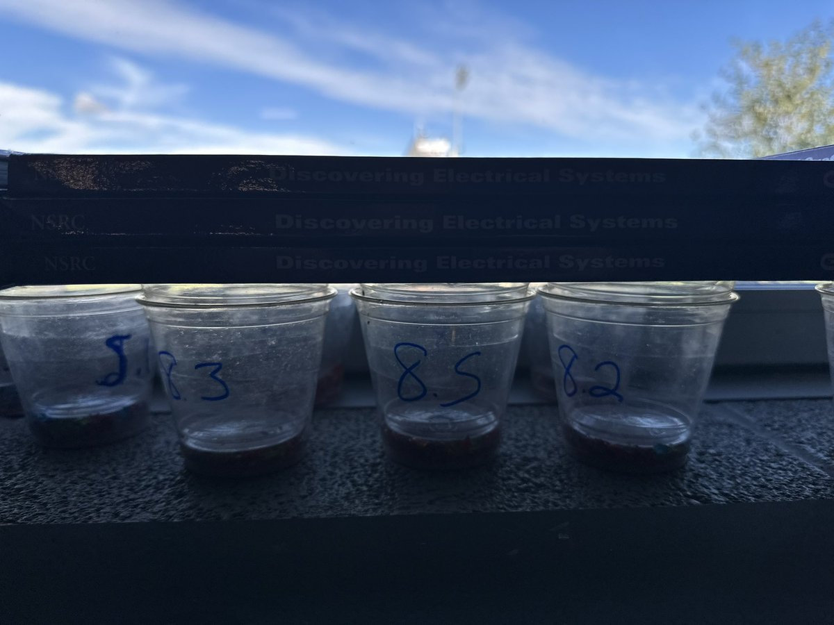 JillAlessandro's tweet photo. @RMS6th @RMSPRIDE 6th grade using candy bits to represent the formation of sedimentary rocks. Can’t wait to see the results! https://t.co/frgHa6Iu34