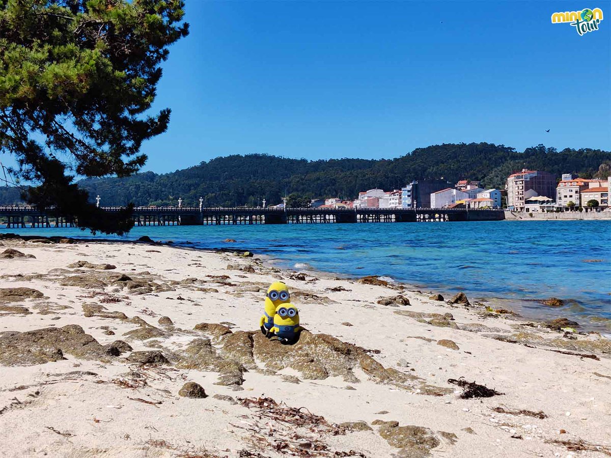 MiniOnTourES's tweet photo. ¿Conoces A Illa da #Toxa? 🏝️ Es un rinconcito con un encanto especial de #OGrove 🤩. Para que no te pierdas nada en tu visita, apunta estos #MiniOnConsejos 📝.
👉 https://t.co/roXwze4Sho
@Turismo_Grove @galiciatb @turisriasbaixas @loves_galicia @VisitOSalnes @MadridTB https://t.co/1W6Hyzx38G