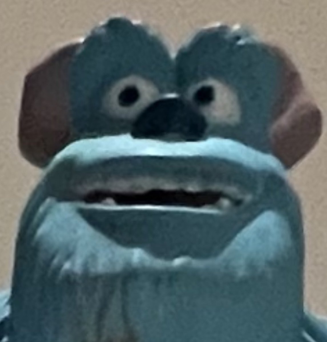 JEDEN Morgen grüße ich im vorbeigehen. Meint ihr da grüßt mal einer zurück?! Die einzige Ausnahme ist der mit dem blauen Fell und genau auf den hab ich am wenigsten Bock :(