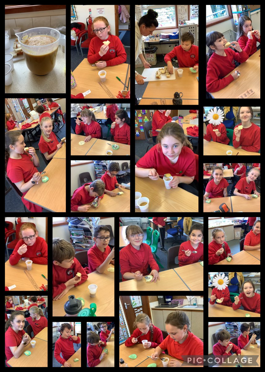 After picking the vegetables from the school garden, Year 6 washed, peeled, rewashed and chopped the carrots and potatoes before boiling. They enjoyed delicious mashed potato, carrot soup and fresh bread. delicious 😋 @ecoschoolfran