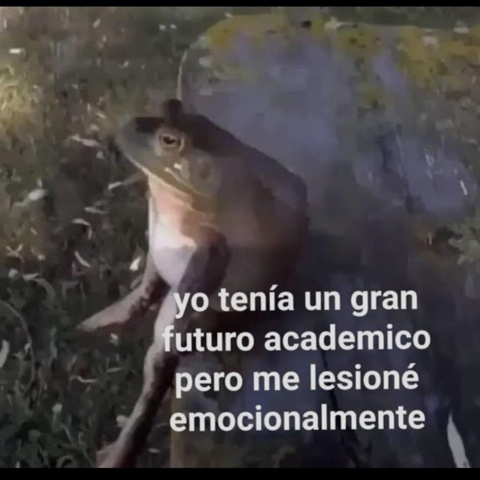 adro el gnomo tweet media