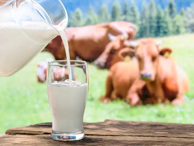KazunguMireille's tweet photo. Thanks to livestock farmers who put important nutrients on our table. https://t.co/LIbPWfrvsR