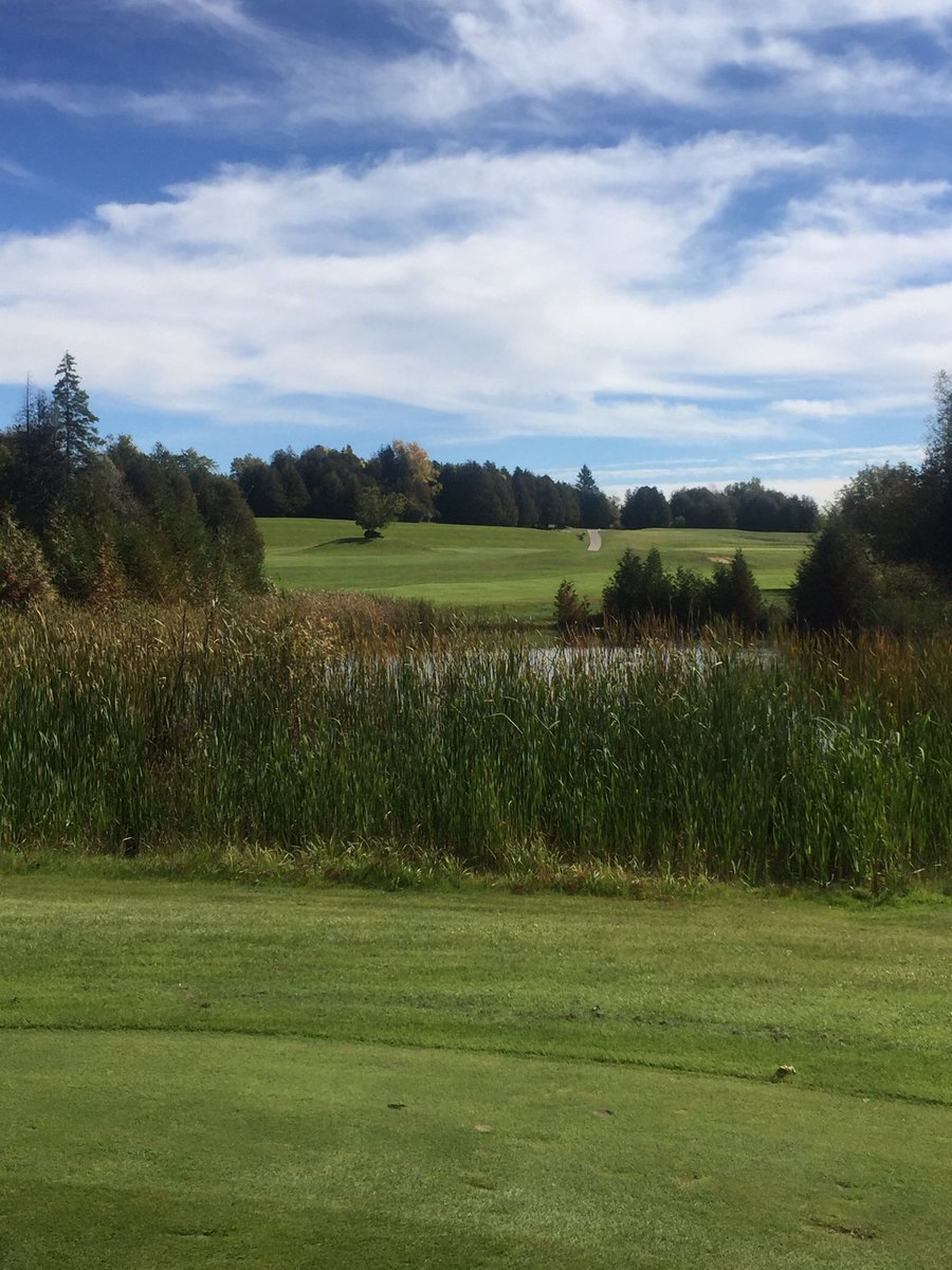 Joe McLean 🇨🇦 tweet media