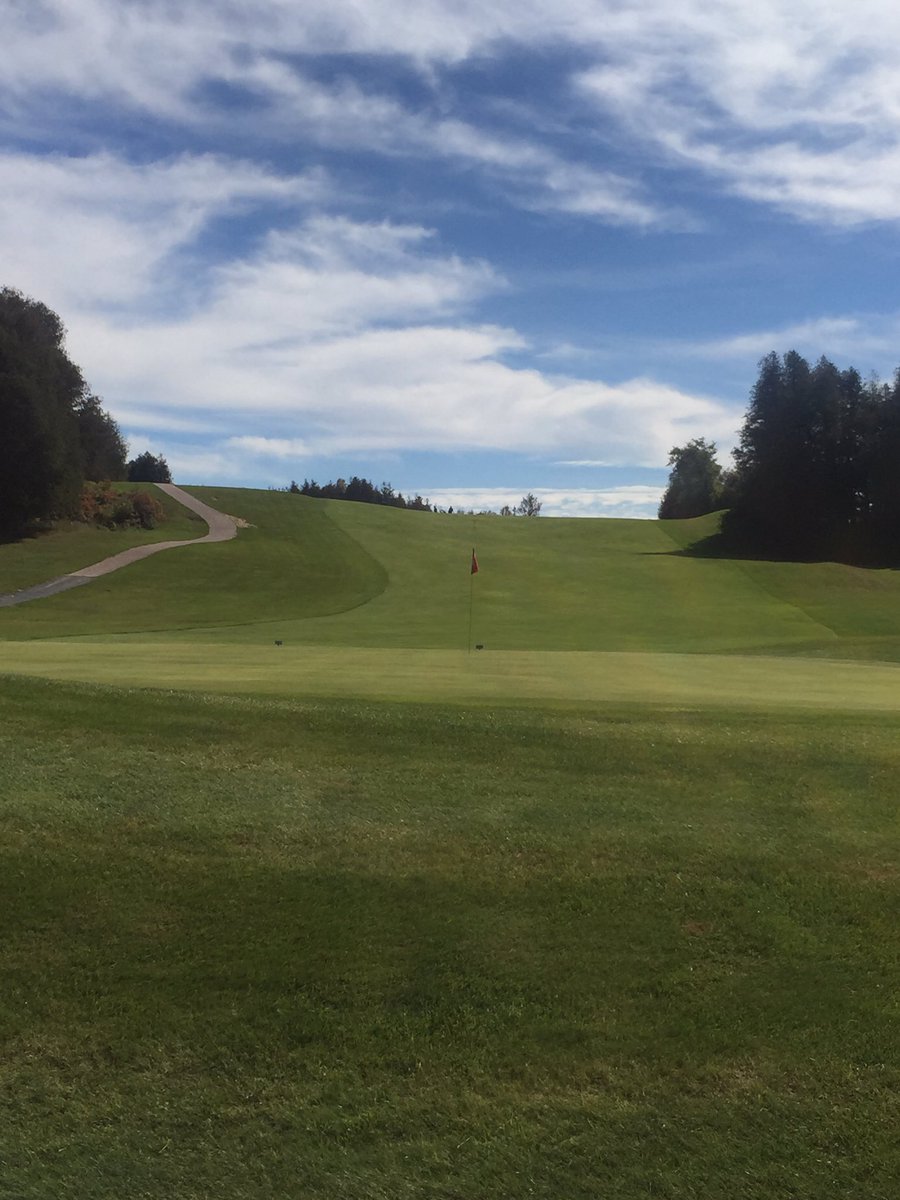 Joe McLean 🇨🇦 tweet media